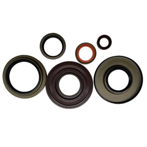 Oil Seal