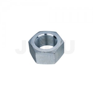 Hex Nut